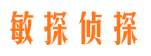 新龙市侦探公司